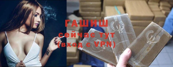 гидра Алексеевка