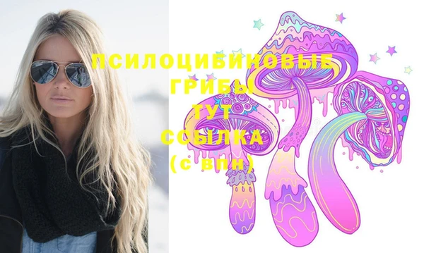 гидра Алексеевка