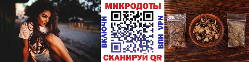 дарнет шоп Луза Псилоцибиновые грибы Psilocybine cubensis
